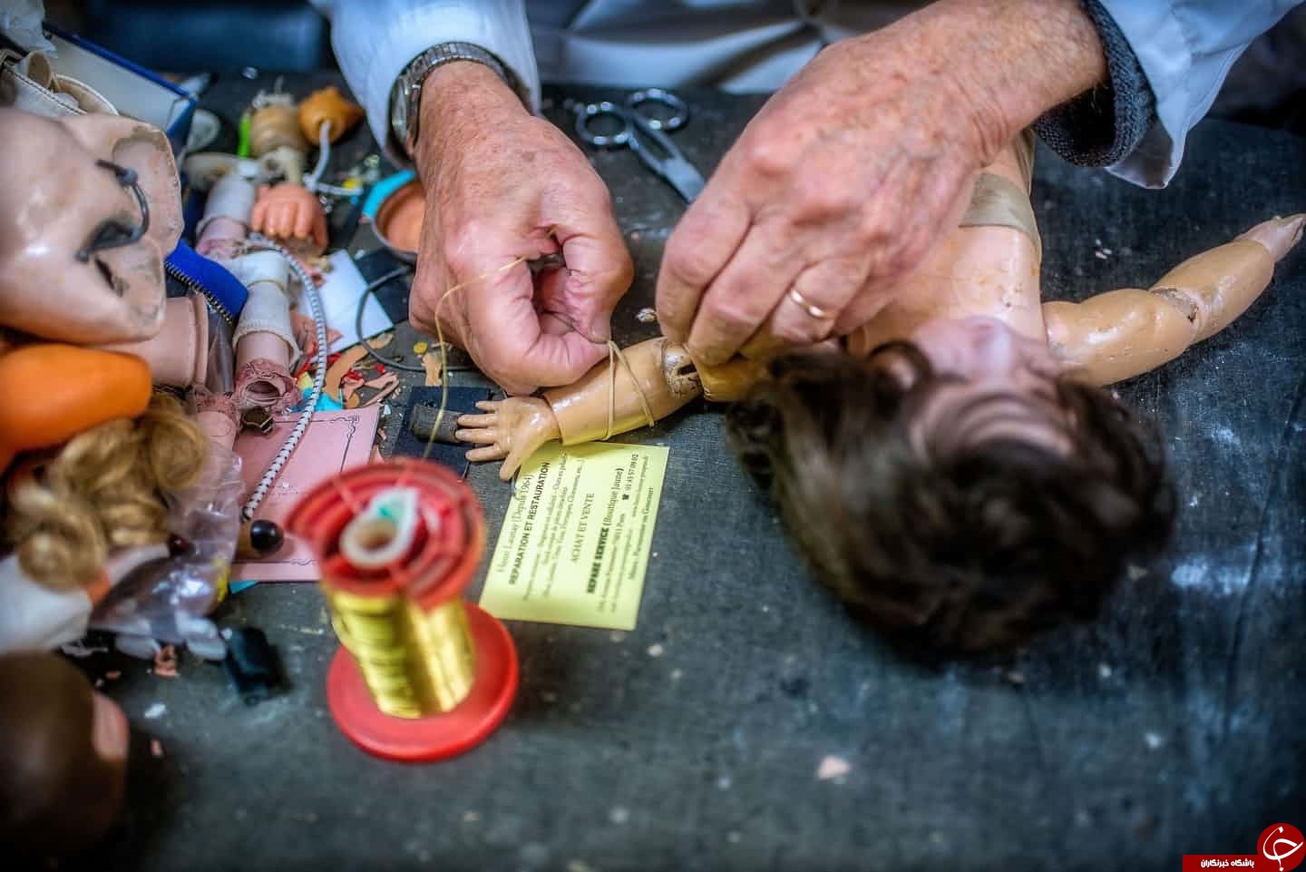 دکتر عروسک ها در فرانسه+ تصاویر