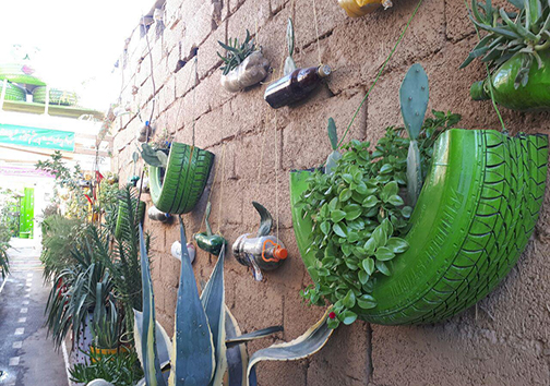 ابتکار جالب زوج جوان برای حفاظت از محیط زیست + تصاویر