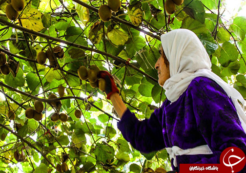 &nbsp;نگاهی گذرا به مهمترین رویداد&zwnj;های یکشنبه ۲۸ آبان ماه در مازندران