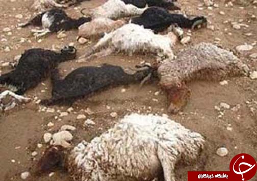 &nbsp;نگاهی گذرا به مهمترین رویداد&zwnj;های یکشنبه ۲۸ آبان ماه در مازندران