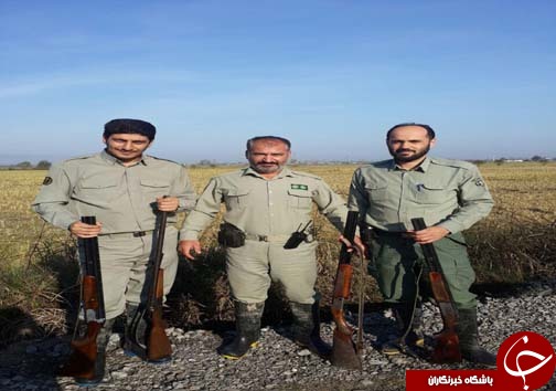 جمع آوری ۸ رشته دام هوایی در آمل