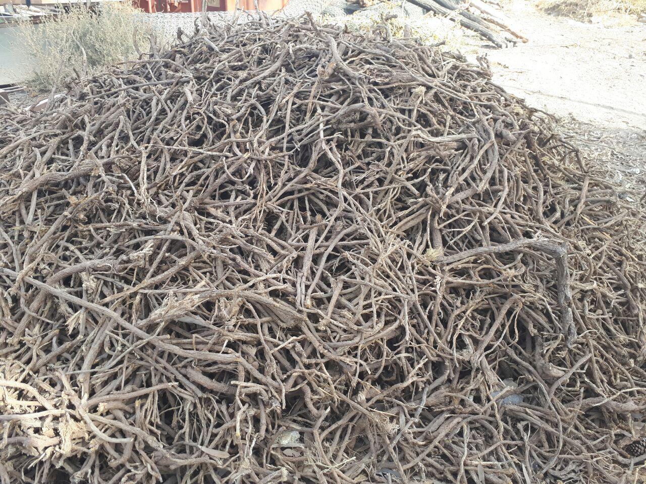 توقیف شیرین بیان های قاچاق در سیرجان