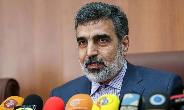 عربستان به دلیل مشکلات داخلی و کم تجربگی سیاستمداران شکست خورده است