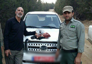 کشف لاشه خرس در کجور نوشهر