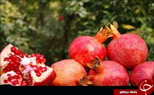 نگاهی گذرا به مهمترین رویداد&zwnj;های دوشنبه ۲۹ آبان ماه در مازندران