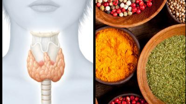 ۱۰ گیاه مفید برای سلامتی تیروئید