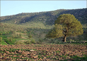 مدیریت خاک مساعد لرستان