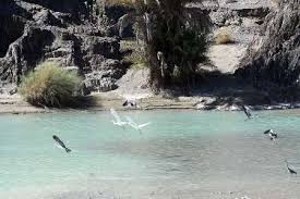 رودخانه دامن ایرانشهرمیزبان گردشگران