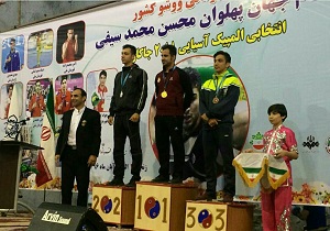 کسب سه نشان طلا و یک برنز در مسابقات انتخابی تیم ملی