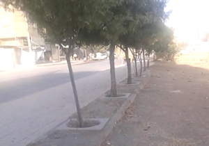 پارکی که تبدیل به زمین متروکه شده است + فیلم