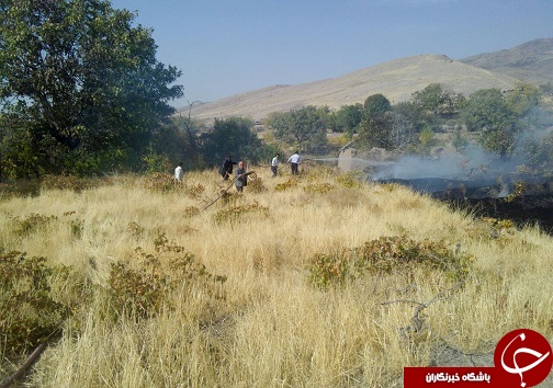 آتش سوزی در باغات روستای زیاران