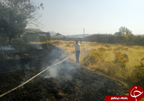آتش سوزی در باغات روستای زیاران