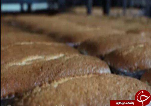 رونق چرخه اقتصادی با حمایت از صنایع غذایی