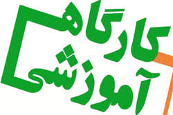 برگزاری کارگاه آموزشی پیشگیری از آنفلو آنزای فوق حاد طیور برای روستائیان تکاب