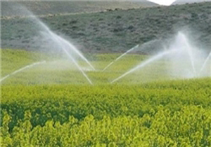 تجهیز 5هزارهکتار از زمین های گچساران و باشت به آبیاری تحت فشار