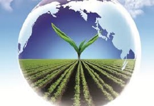 صدور اولین پروانه کاربرد نشان حلال در استان تهران