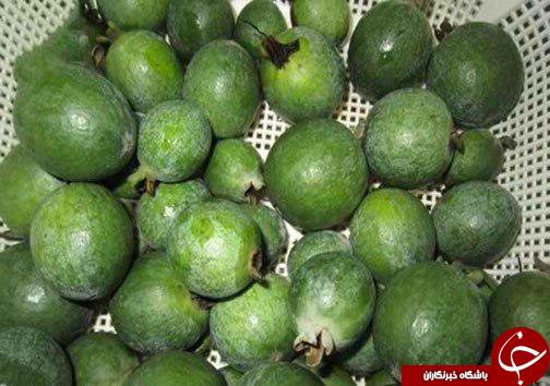 فی جوا میوه&zwnj;ای خوش طعم، اما ناشناخته