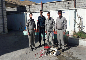 کشف ۱۱۰ قطعه ماهی از متخلفین صید غیرمجاز در الیگودرز