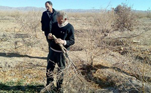 انهدام باند بزرگ مواد مخدر در جنوب شرق کشور/ آخرین اخبار از قایق مفقود شده در اصفهان/صادرات نفت خام ایران به اروپا /