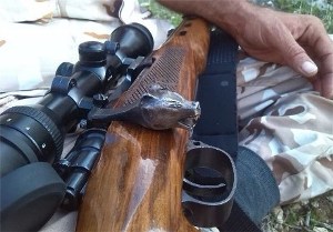 دستگیری شکارچیان غیرمجاز در رشت