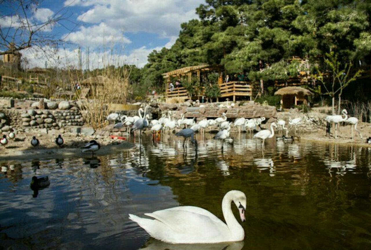 بسته گردشگری برای چهارشنبه عصر//////پارک جنگلی لویزان، تفریحگاهی دلپذیر برای یک آخر هفته پاییزی