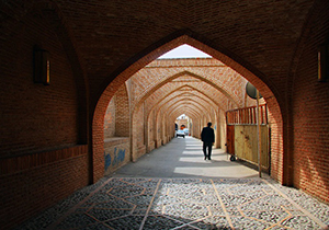 هم صدایی شهرداری و میراث فرهنگی در احیای بافت تاریخی شیراز