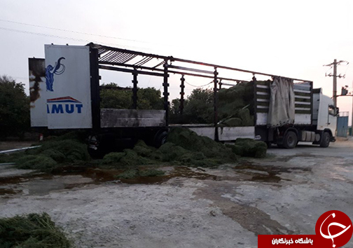 بارش باران پاییزی در فارس/توسعه همکاری های مشترک گردشگری فارس و کشور ژاپن/تریلر حامل علوفه در محاصره شعله&zwnj;های آتش