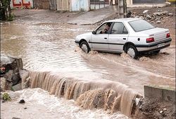 تعطیلی مدارس بوشهر به دلیل بارش باران