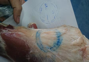 دستگیری جاعل مهر بازرسی گوشت در ساری
