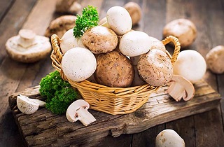 خواص قارچ و بهترین روش های پخت آن