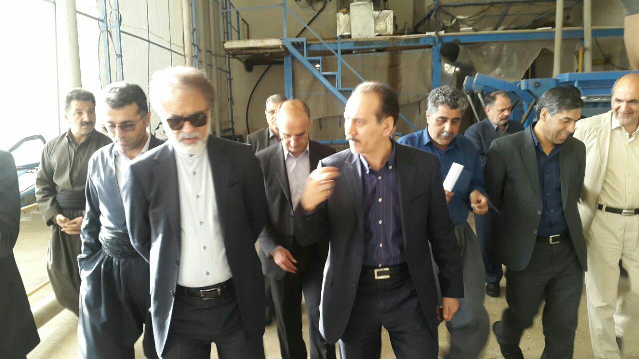 بازدید  معاون وزیر کشور از شهرک صنعتی پاوه