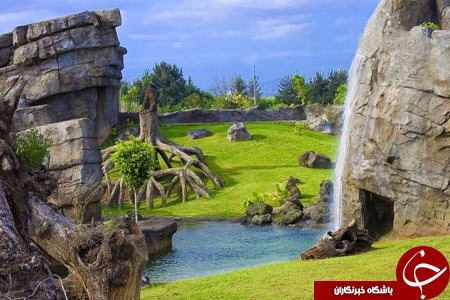 باغ وحشی زیبا که قفس ندارد+ تصاویر