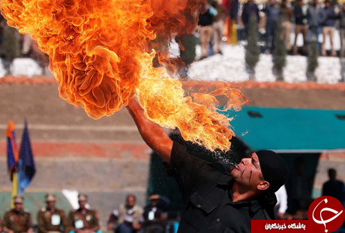 تصاویر روز: از پوشاندن لباس گرم به درختان در آستانه فصل سرما تا نجات صد مورچه خوار از دست قاچاقچیان
