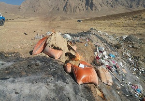 امحا بیش از یک تن خوراک دام