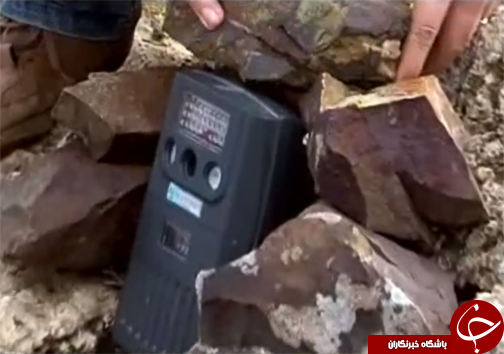 خطر انقراض پلنگ زاگرس گونه ی کمیاب حیات وحش لرستان /