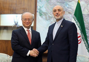 آمانو با صالحی دیدار کرد