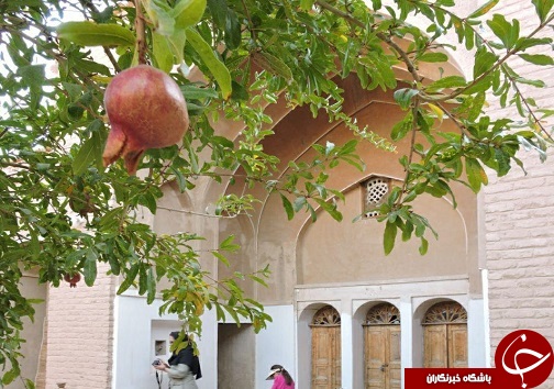 برگزاری تور طبیعت گردی به مقصد شهرستان خوسف+تصاویر