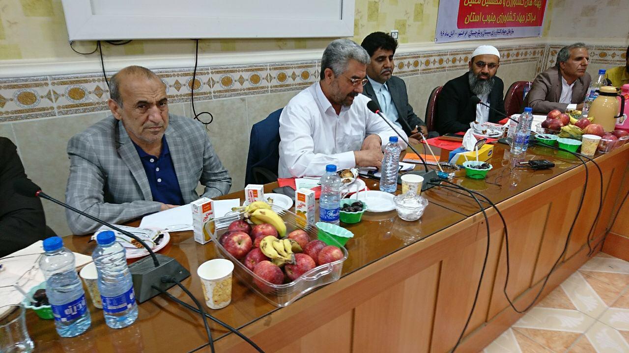 اشتغال ۱۷۰ هزار نفر در بخش کشاورزی سیستان و بلوچستان