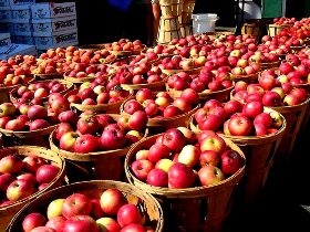 گفتگو با کشورهای اروپایی و آسیایی برای صادرات سیب آذربایجان‌غربی