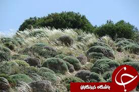 طبیعت زیبای گلول و سراني در قاب دوربین + تصاویر