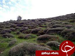طبیعت زیبای گلول و سراني در قاب دوربین + تصاویر