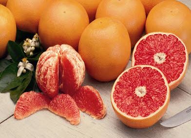 نرخ مصوب انواع میوه درجه یک و دستچین در میادین میوه و تره بار
