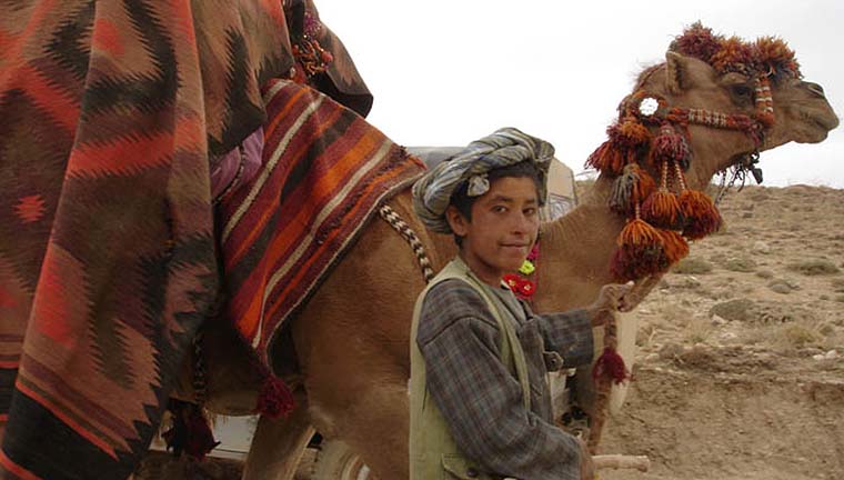 ۷۰ درصد کودکان کوچی از آموزش محروم هستند