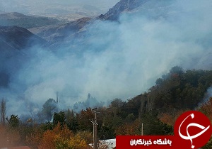 مهار آتش در باغات روستای جوینک