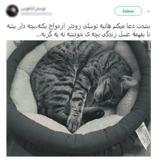 مرگ گربه هانیه توسلی سوژه طنز کاربران شد + تصاویر
