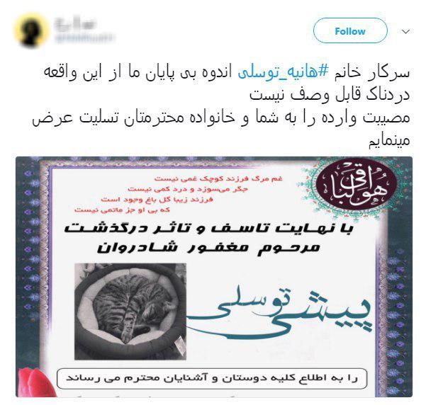 مرگ گربه هانیه توسلی سوژه طنز کاربران شد + تصاویر