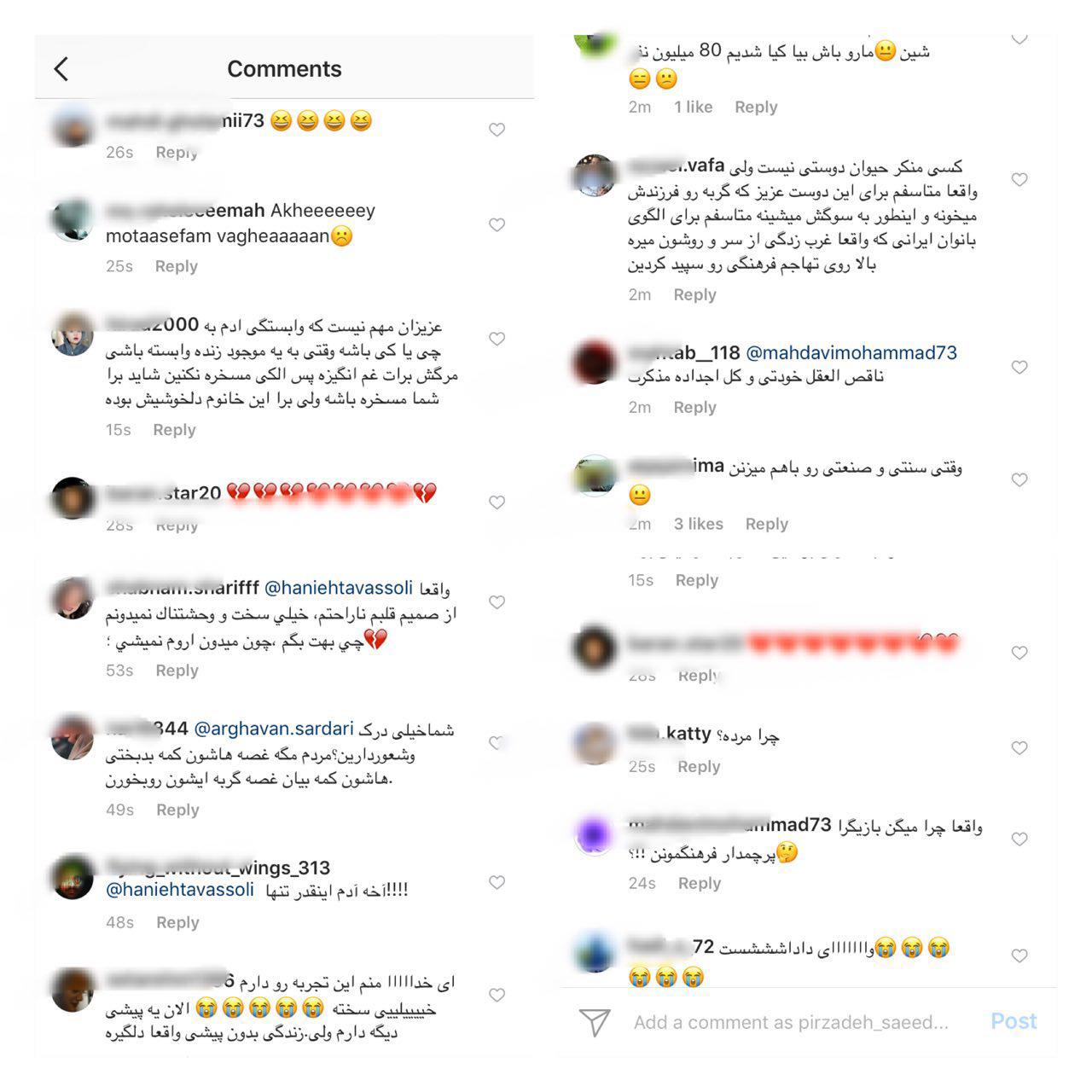 مرگ گربه هانیه توسلی سوژه طنز کاربران شد + تصاویر