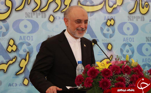 سایت هسته&zwnj;ای بوشهر در دنیا طنین انداز شده/ فاز یک بوشهر سمبلی از اتحاد و همبستگی ایران و روسیه