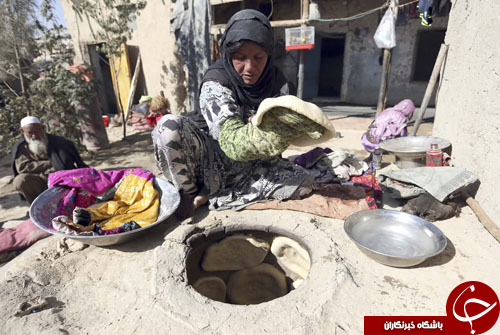 تصاویر روز: از معماری منحصر به فرد کتابخانه تیانجین تا توله پلنگ طرد شده از سوی مادرش