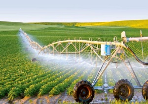 تجهیز 3 هزار هکتار از اراضی بیله سوار به سیستم آبیاری مدرن